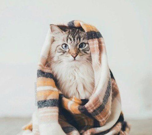Ночи без памперсов.