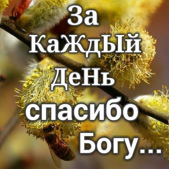 радость в буднях, конец апреля. Снег растаял)