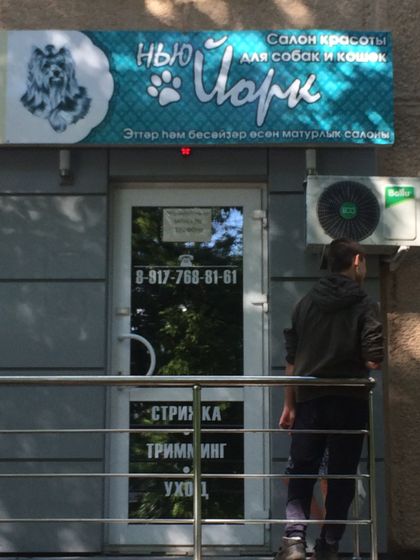 фото с телефона, последние)