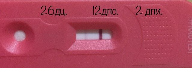 Тест на беременность //