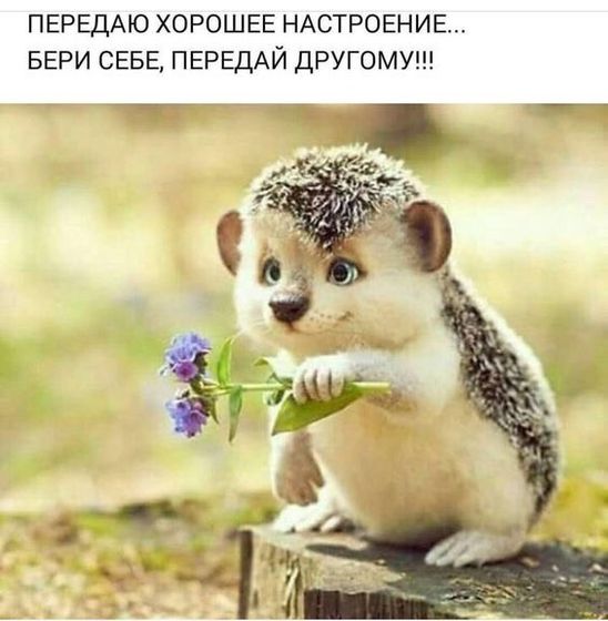 Первое УЗИ в ЖК?