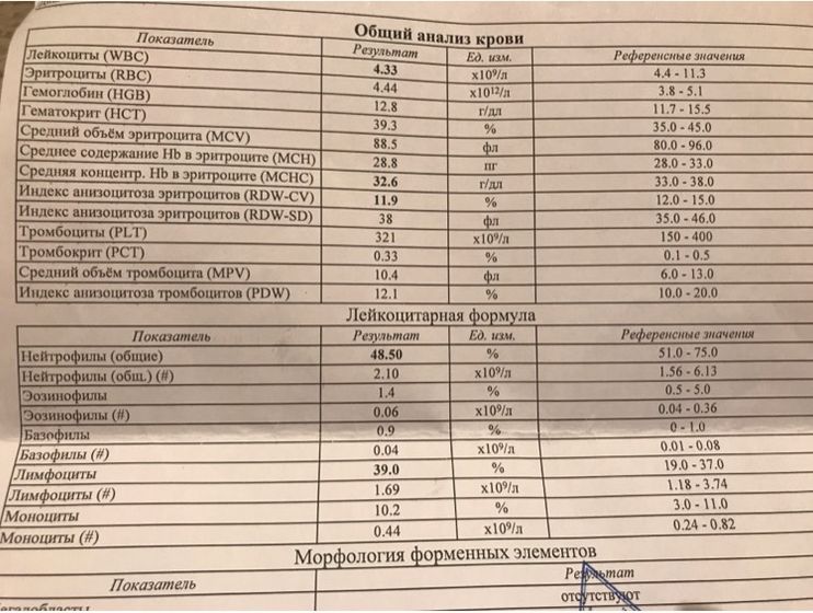 Анализы перед ЭКО