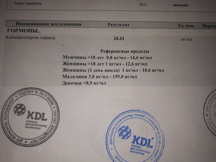Сходила ко врачу...Новости с фронта