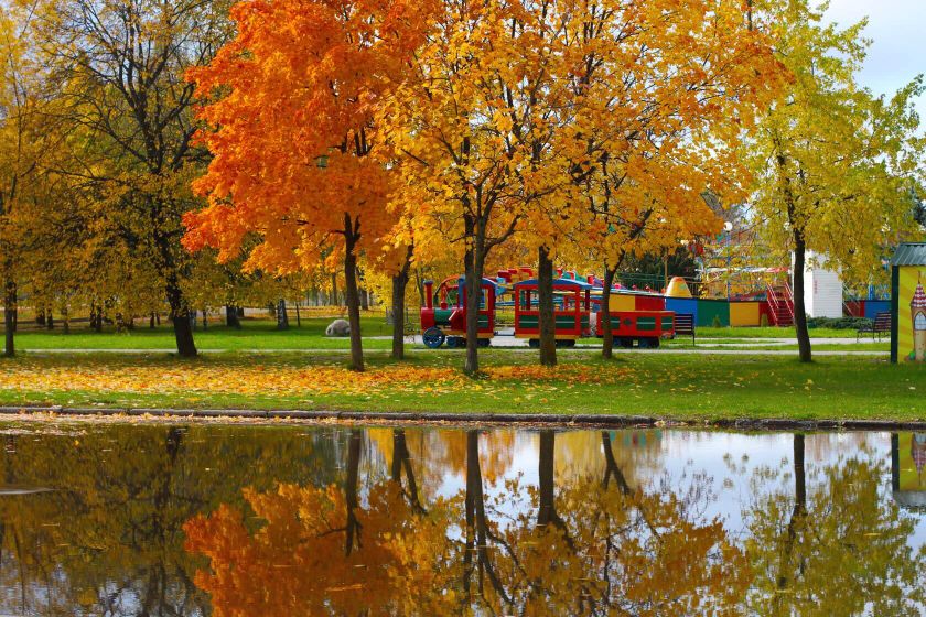 Любимые места. Осень в Могилёве. ???