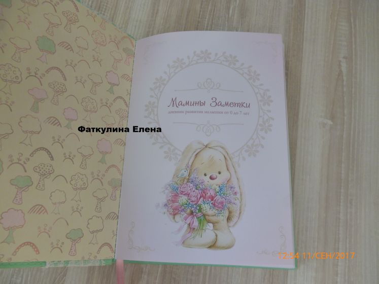 Бэби бук и папка для документов.
