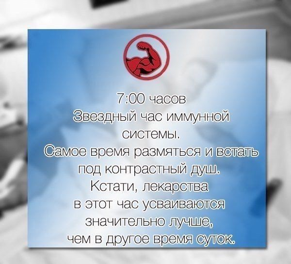 Именно поэтому я за режим.