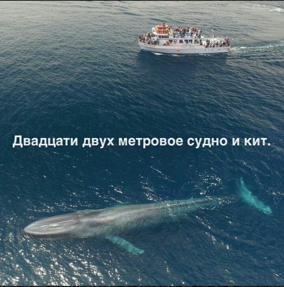 Ещё шуточек)))