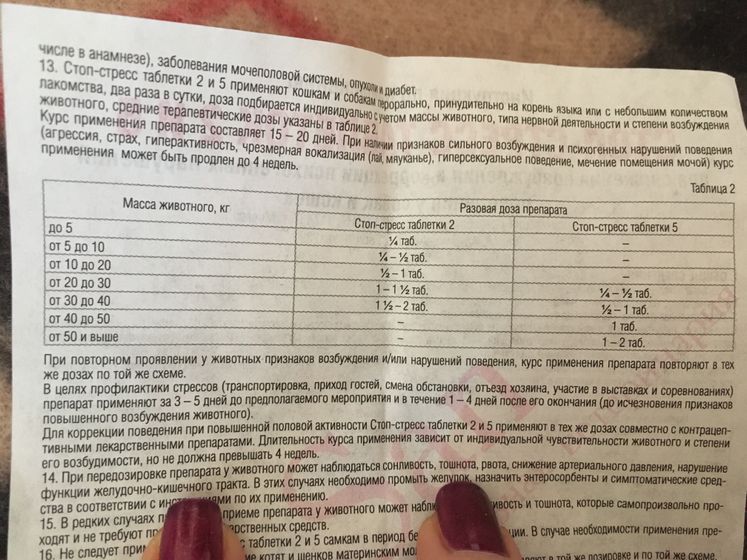 Таблетки для собак