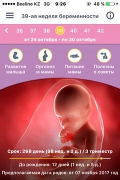 Сегодня 38,2.