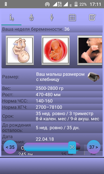 35 недель ровно)))