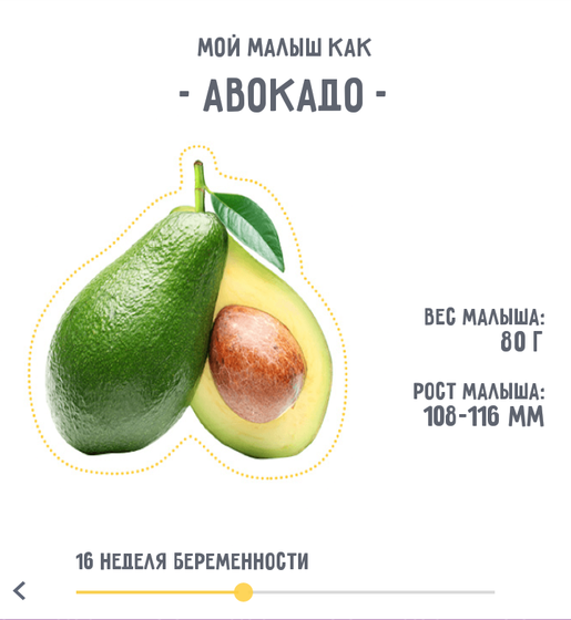 ?16 неделя ?беременности?