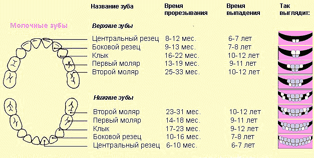 план выполнен...+2 зубика...