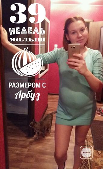 Вот пошёл обратный отсчёт⌛