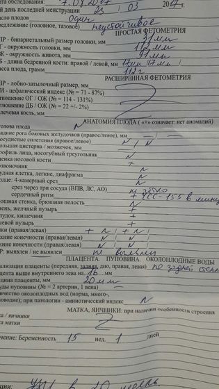 УЗИ 15 недель