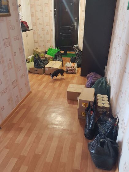 Мы получили паек. Жить можно))