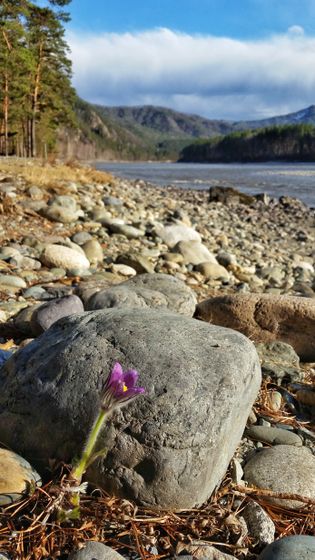 Апрельское путешествие на Алтай. ФОТОпогуляшки