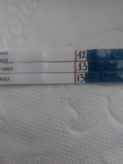 13 дпо