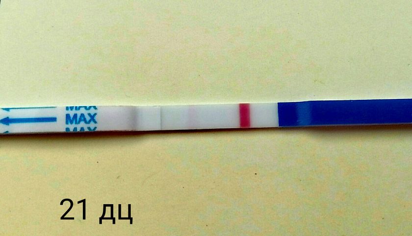 21 ДЦ (14дпо)