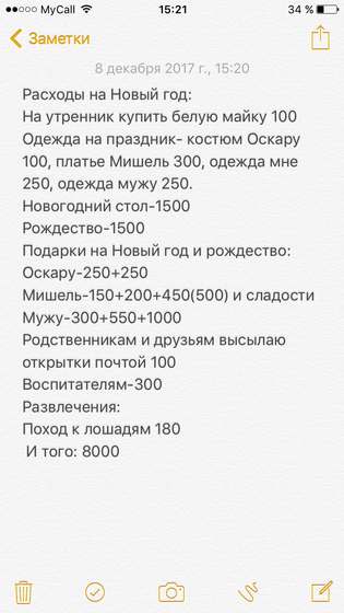 Бюджет на Новый год