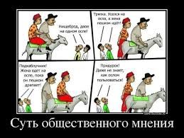 Общественное мнение
