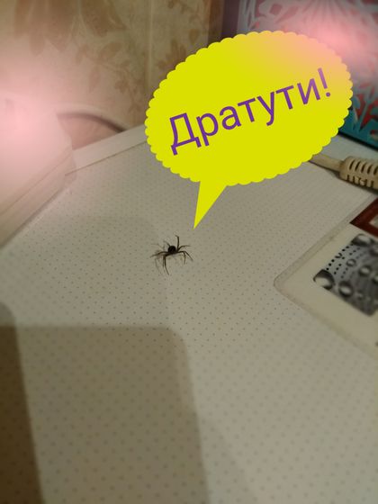 И тут я чуть не родила...???