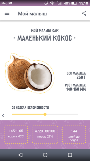 УЗИ ? второго триместра ? Экватор